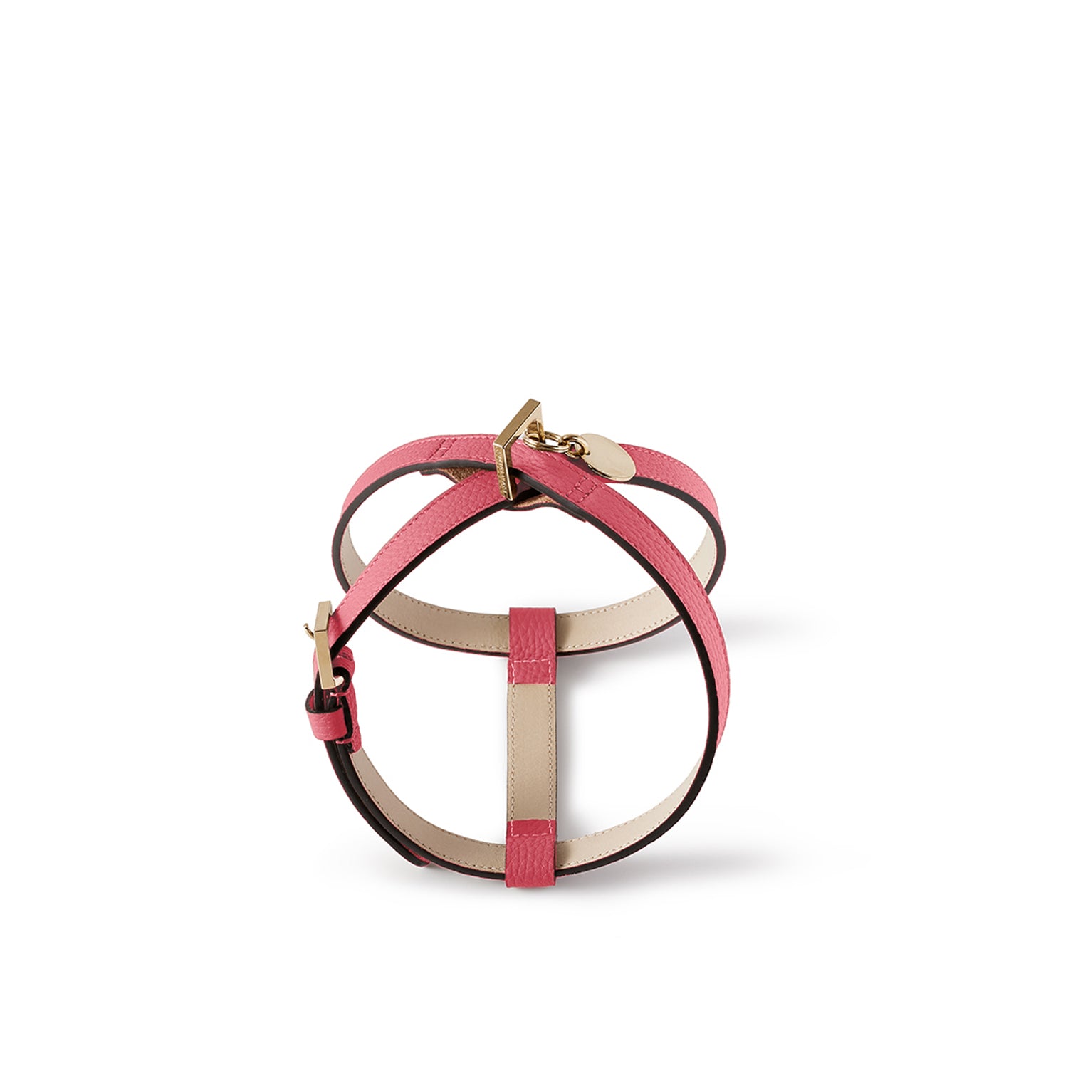 BONAVENTURA × FRIDA Firenze 애완 동물 하네스 (30) 수축 가죽