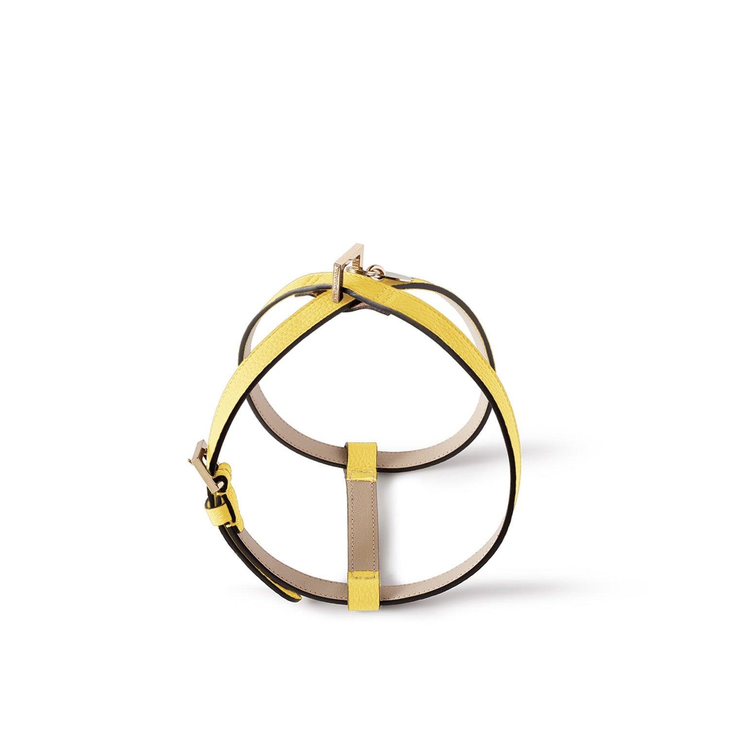 BONAVENTURA × FRIDA Firenze Pet Harness Shrink Leather (40)