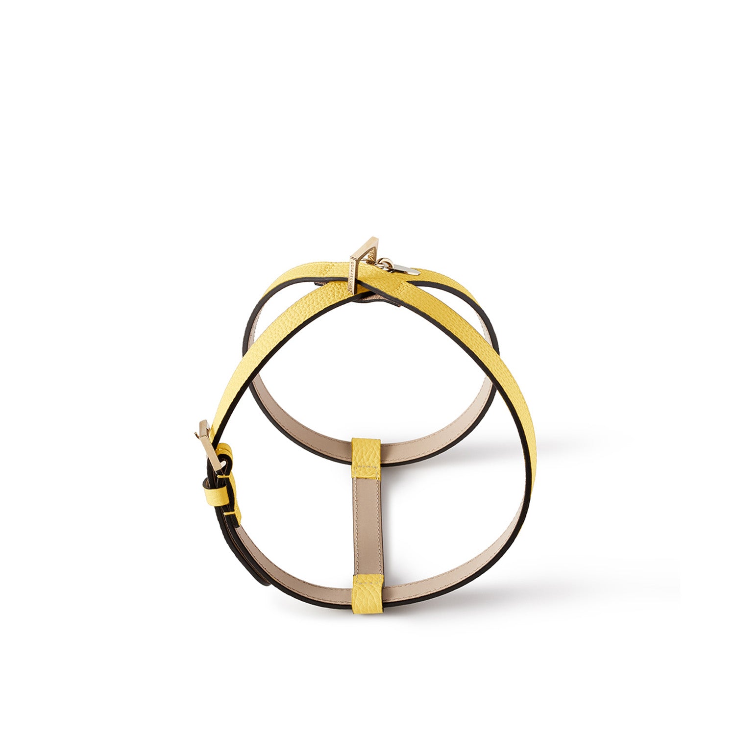 Bonaventura × Frida Firenze Pet Harness Bottalato Leather (45)